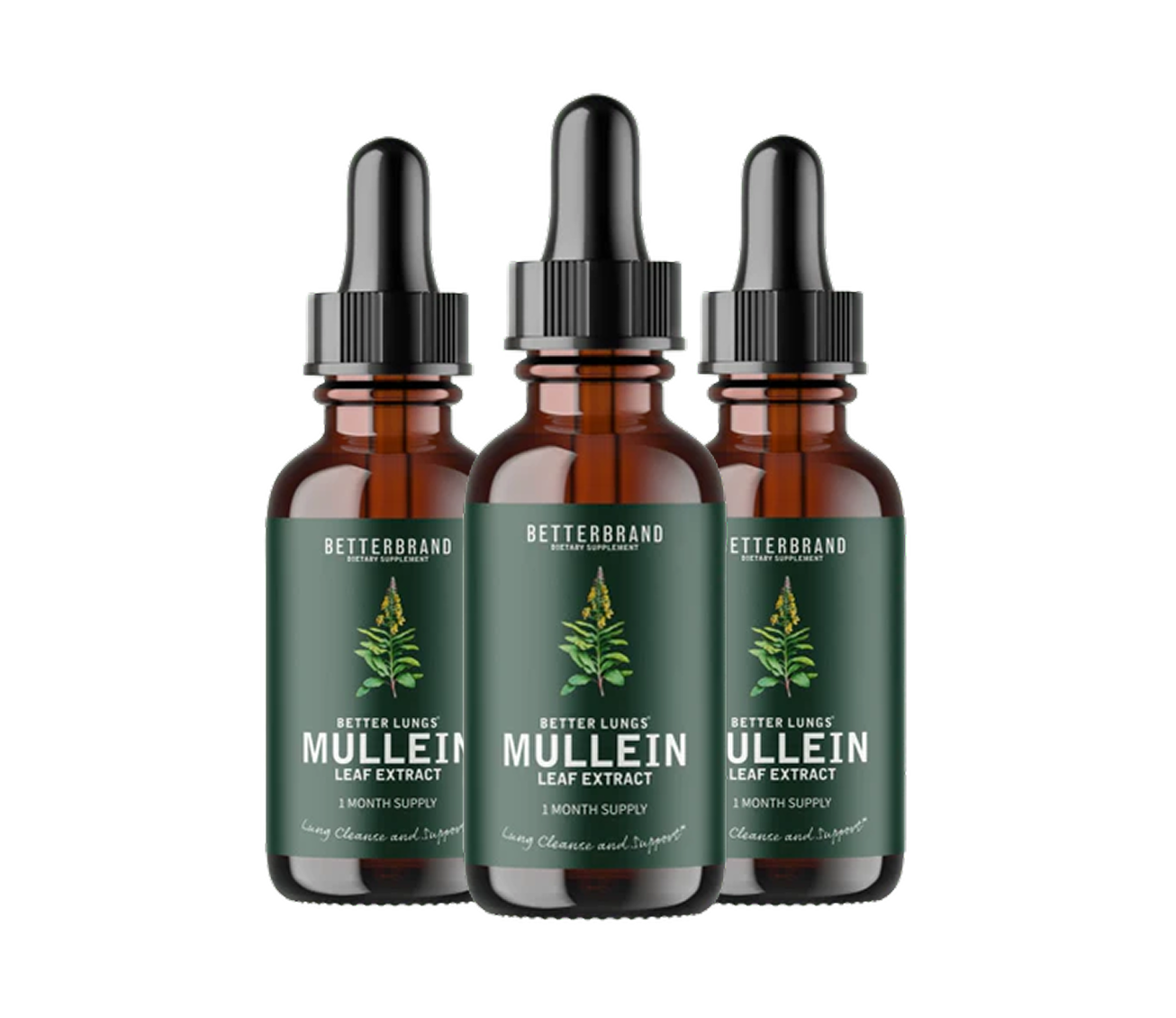 BetterLungs® Mullein + Chlorophyll Lung Drops