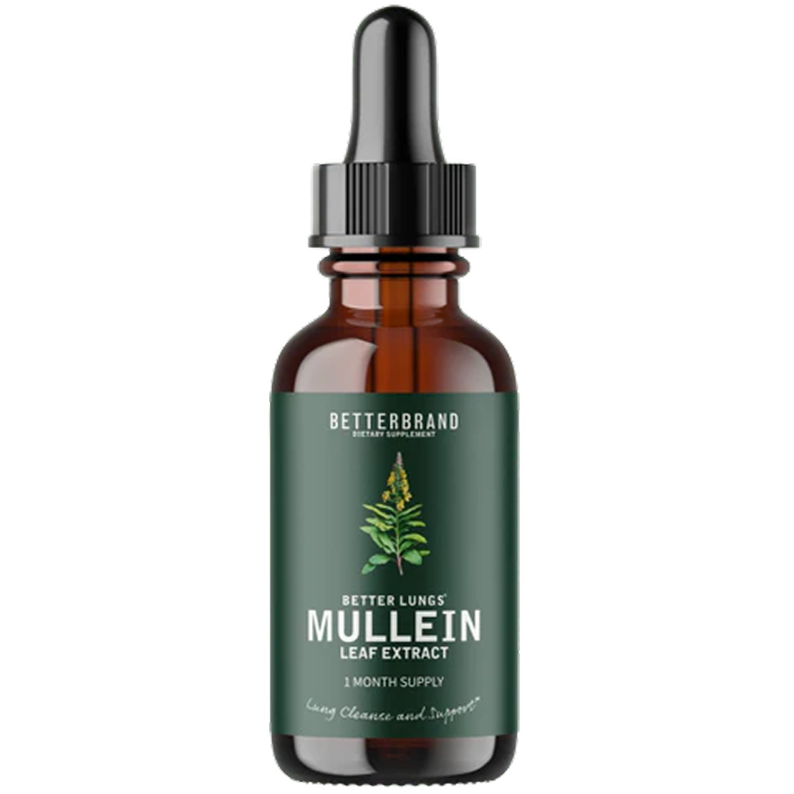 1 Bottle (30 day supply)