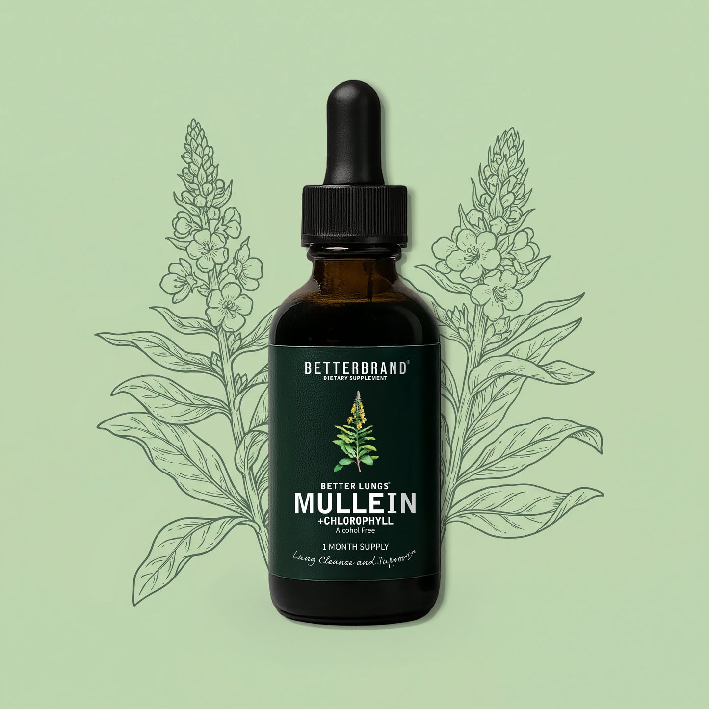 BetterLungs® Mullein + Chlorophyll Lung Drops