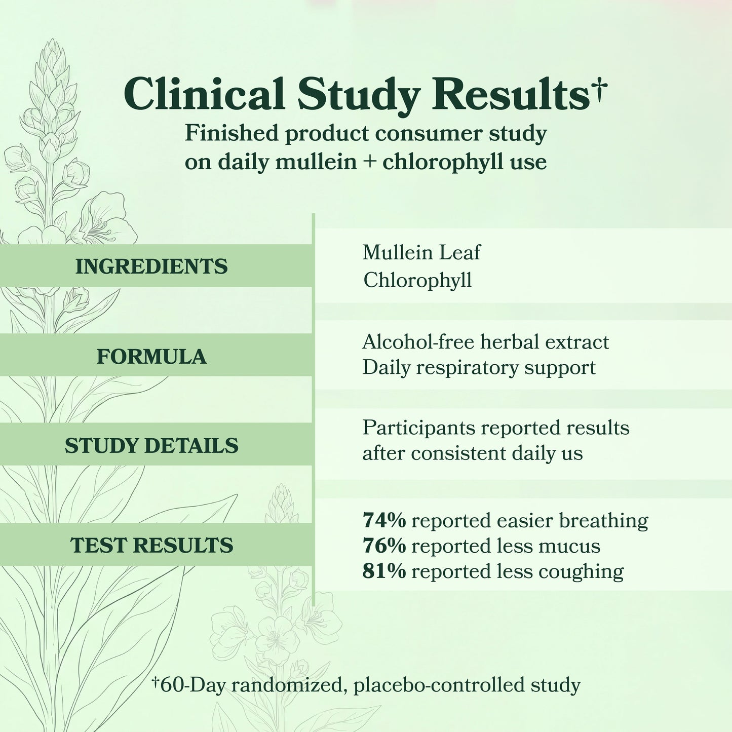 BetterLungs® Mullein + Chlorophyll Lung Drops