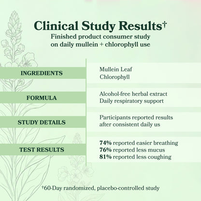 BetterLungs® Mullein + Chlorophyll Lung Drops