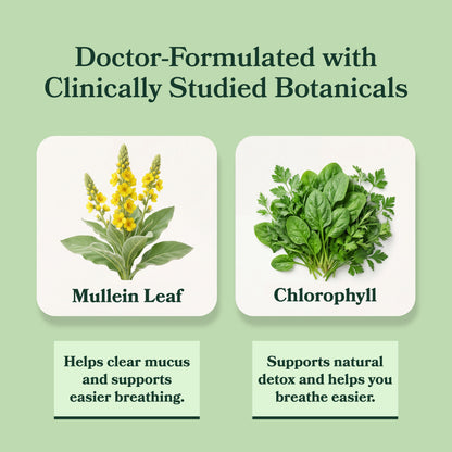 BetterLungs® Mullein + Chlorophyll Lung Drops